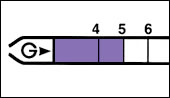 GV-50P学生专用型气体采样器GV-50P